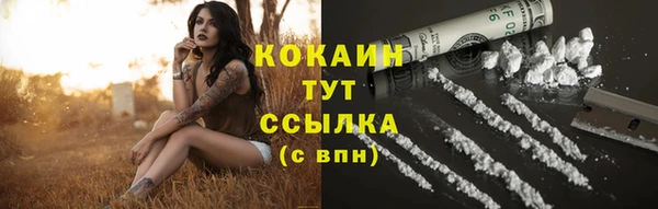 Альфа ПВП Аркадак