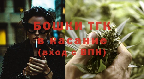сатива Арсеньев