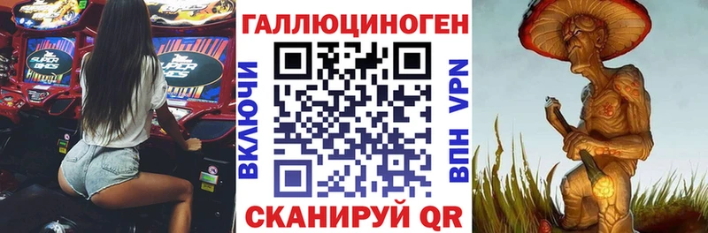 KRAKEN   Сясьстрой  Галлюциногенные грибы прущие грибы 